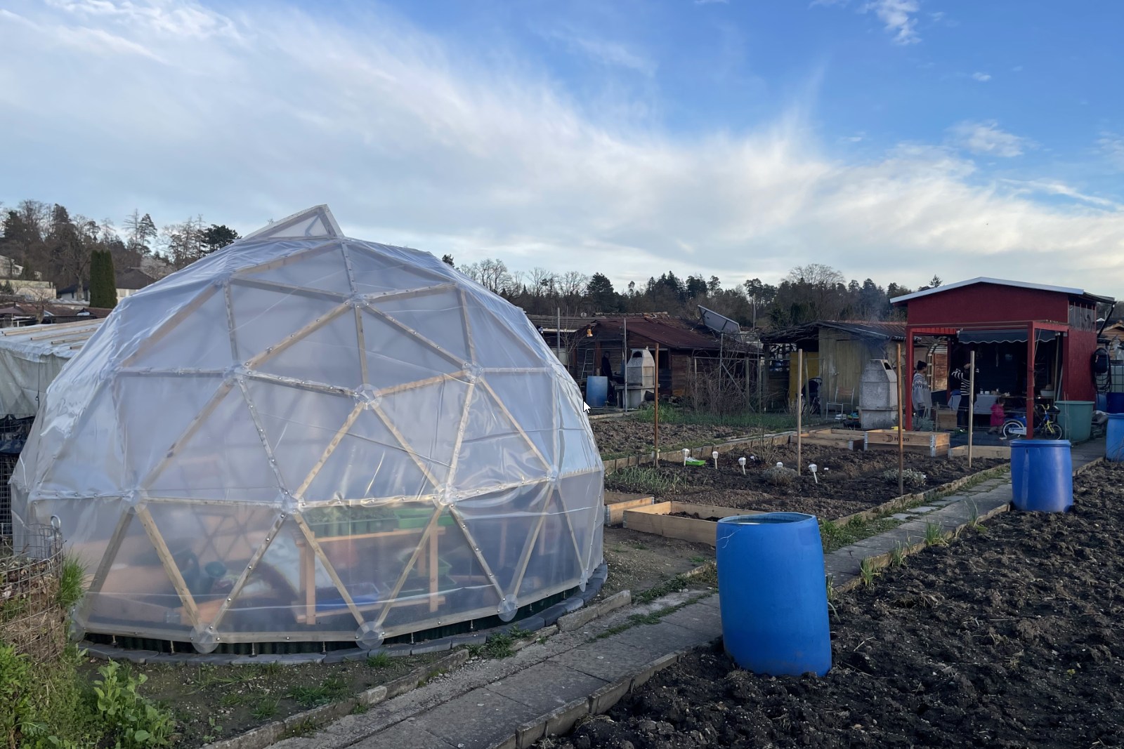 Garten-Giglu mit transparenter Hülle
