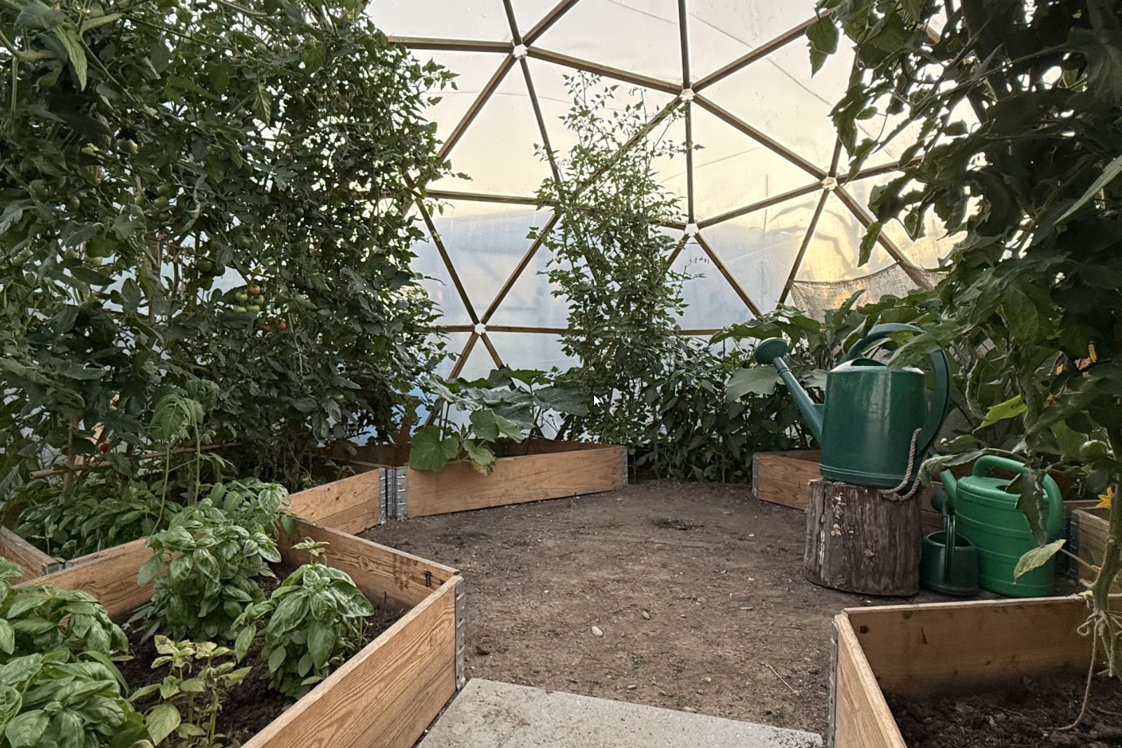 Bepflanzter Innenraum des Garten-Giglu